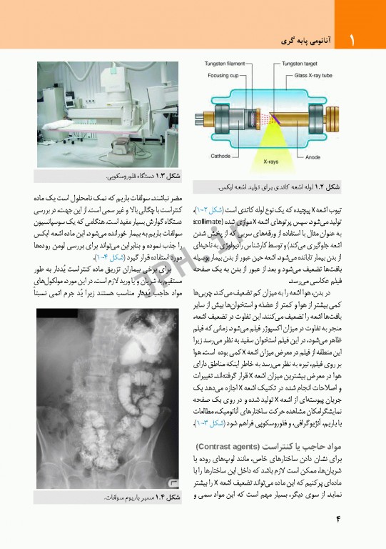 چکیده‌ آناتومی پایه گری 2018 جلد1 تنه