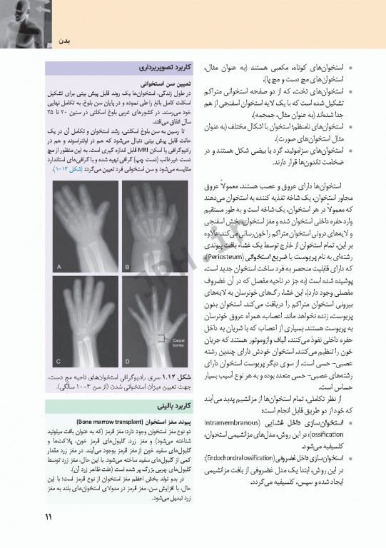 چکیده‌ آناتومی پایه گری 2018 جلد1 تنه