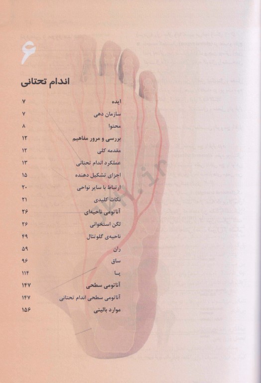 آناتومی گری برای دانشجویان 2020 جلد دوم اندام نشر حیدری