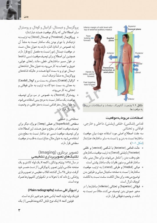 چکیده‌ آناتومی پایه گری 2018 جلد1 تنه