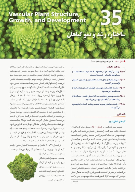 کمپبل 2017 جلد پنجم ساختار و عمل گیاهان