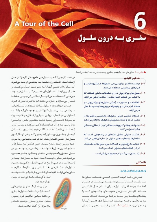 بیولوژی کمپبل 2017 جلد دوم سلول