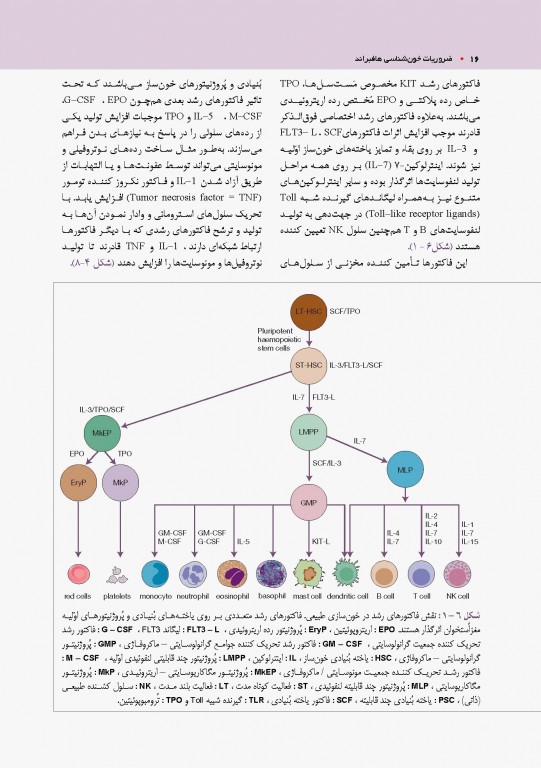 ضروریات خون‌شناسی هافبراند 2020 تمام رنگی