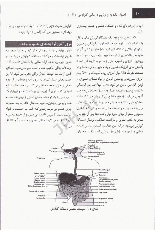 اصول تغذیه کراوس 2021 جلد اول اصول و ارزیابی، تشخیص و مداخله تغذیه‌ای