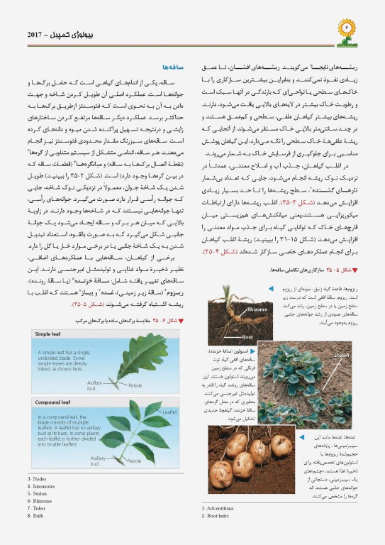 کمپبل 2017 جلد پنجم ساختار و عمل گیاهان