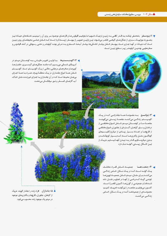 بیولوژی کمپبل 2017 جلد اول شیمی حیات