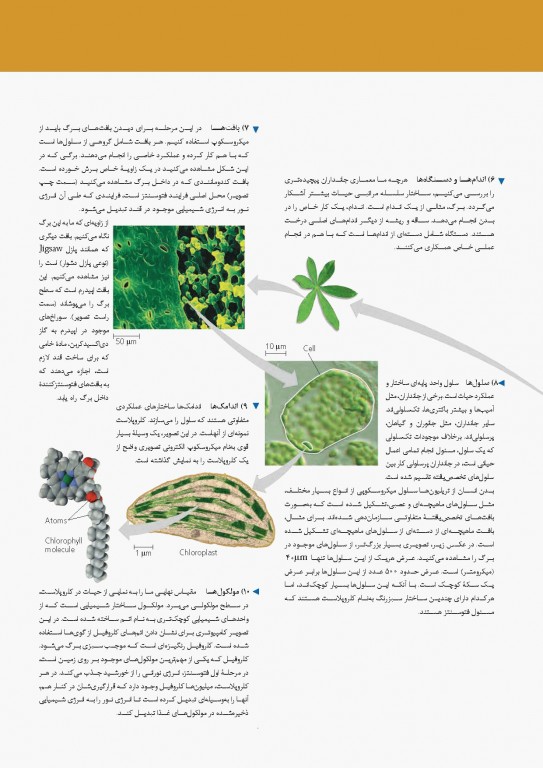 بیولوژی کمپبل 2017 جلد اول شیمی حیات