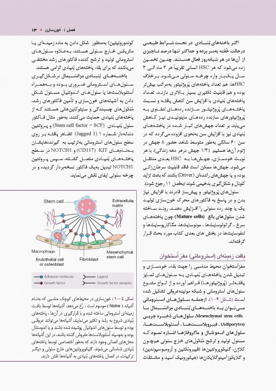 ضروریات خون‌شناسی هافبراند 2020 تمام رنگی