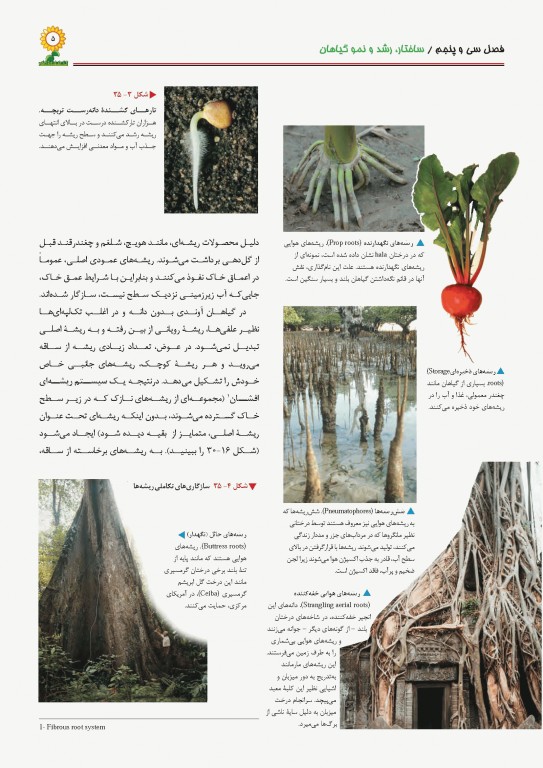 کمپبل 2017 جلد پنجم ساختار و عمل گیاهان