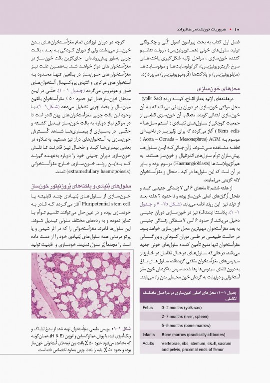 ضروریات خون‌شناسی هافبراند 2020 تمام رنگی