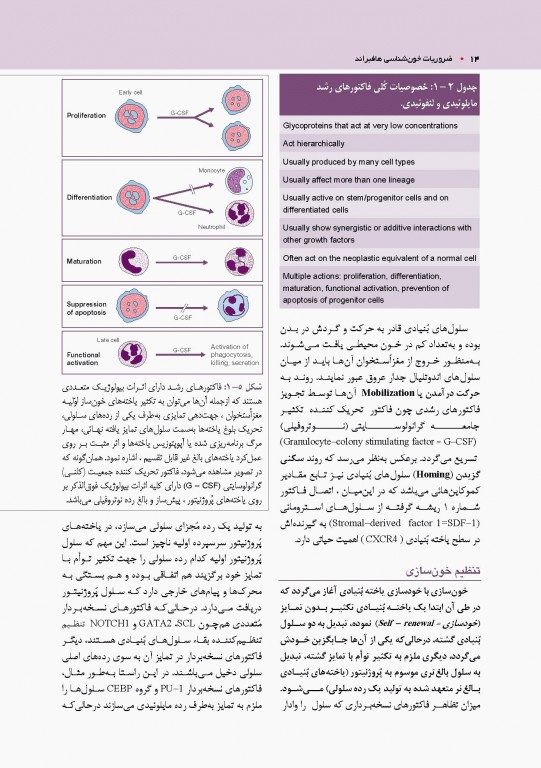 ضروریات خون‌شناسی هافبراند 2020 تمام رنگی