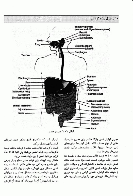 اصول تغذیه کراوس 2021 جلد1 دکتر زهرا یاری