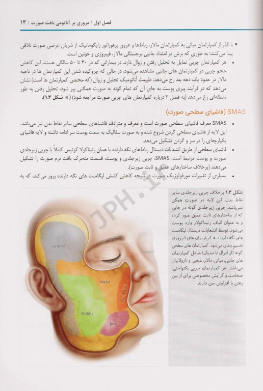 نواحی در معرض خطر در صورت دکتر عاطفه محمدنژاد همراه با کلیپ‌های آموزشی