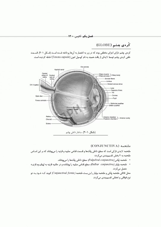 تکنولوژی جراحی چشم ساداتی و گلچینی