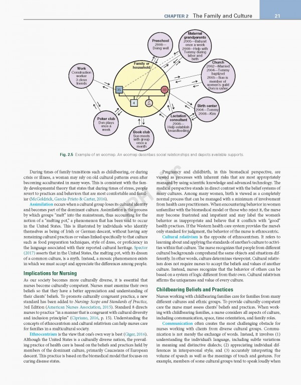 مراقبت‌های بهداشتی زنان و زایمان لودرمیلک | Maternity and Women's Health Care 2020