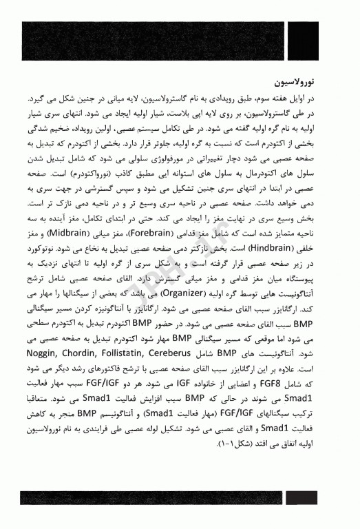 مبانی آناتومی اعصاب با رویکرد نوروساینس دکتر آقایی