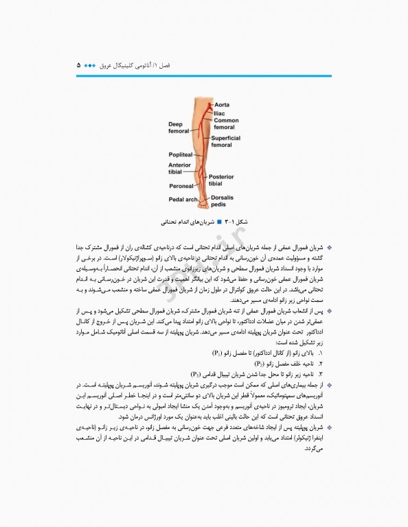 جراحی عروق برای پزشکان تشخیص و ارجاع