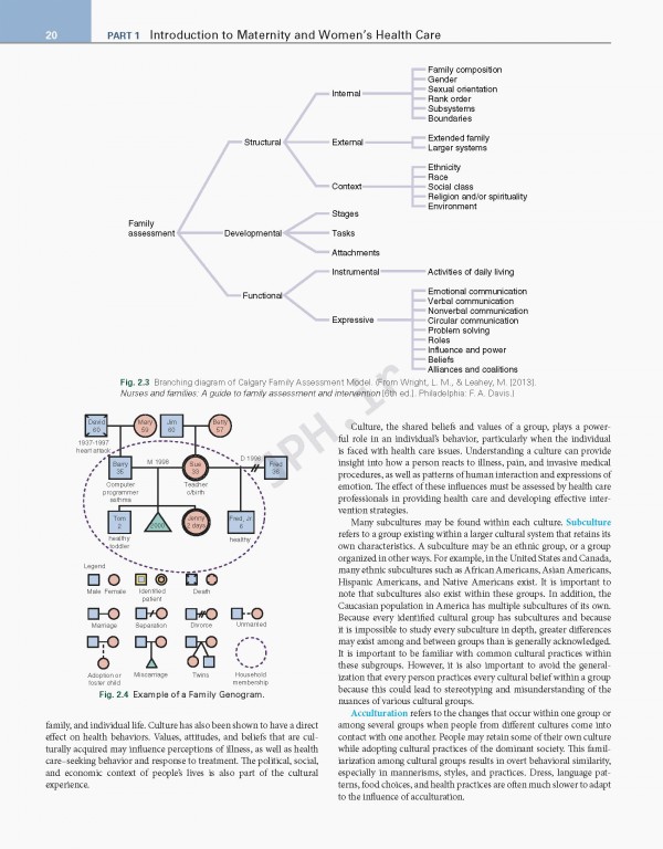 مراقبت‌های بهداشتی زنان و زایمان لودرمیلک | Maternity and Women's Health Care 2020