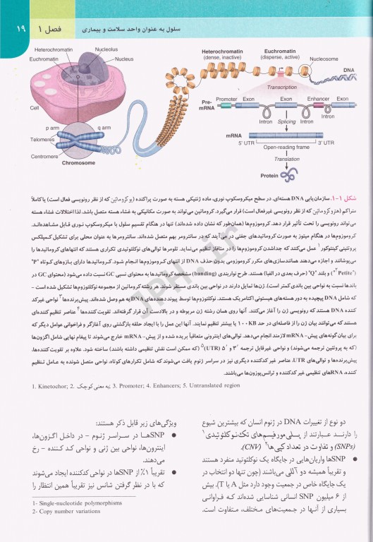 آسیب شناسی پایه عمومی رابینز 2018 مسلم بهادری