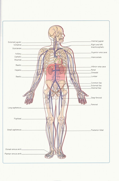 درسنامه جامع طب اورژانس عروق و روانپزشکی بر مبنای روزن 2018