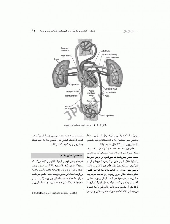 درسنامه مراقبت‌های ویژه قلب و عروق