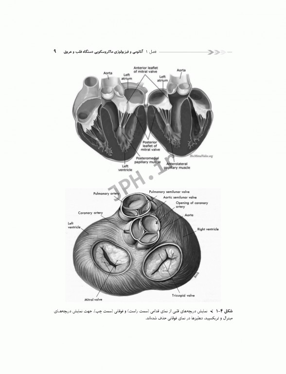 درسنامه مراقبت‌های ویژه قلب و عروق