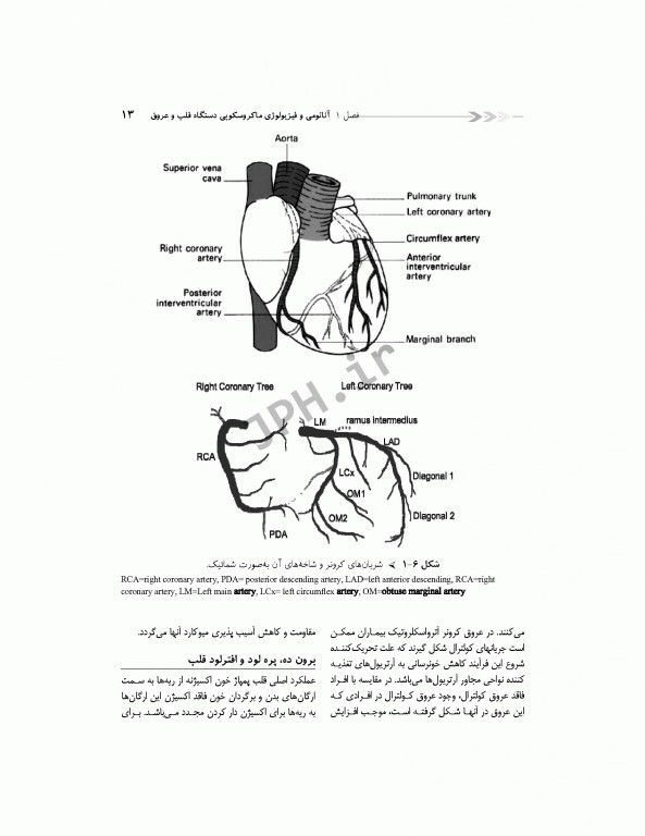 درسنامه مراقبت‌های ویژه قلب و عروق