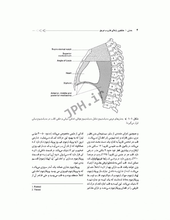 درسنامه مراقبت‌های ویژه قلب و عروق