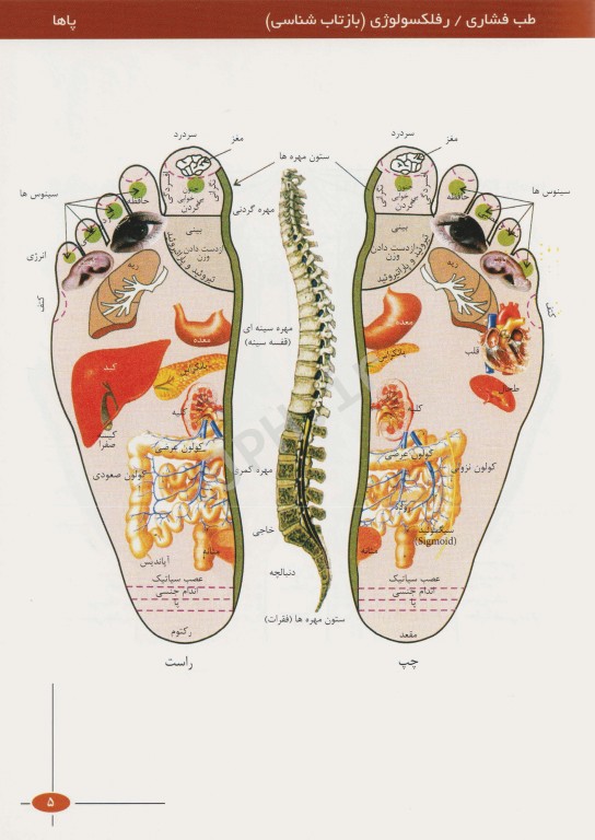 اطلس طب فشاری اشراقیه