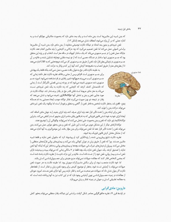 مبانی نوروسایکولوژی انسان جلد اول