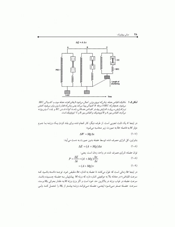 مبانی بیوفیزیک اسری واستاوا
