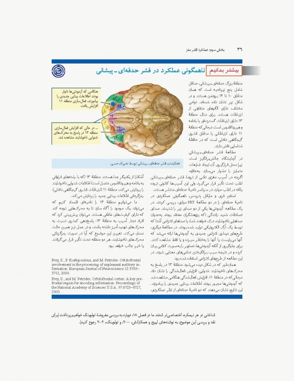 مبانی نوروسایکولوژی انسان جلد دوم