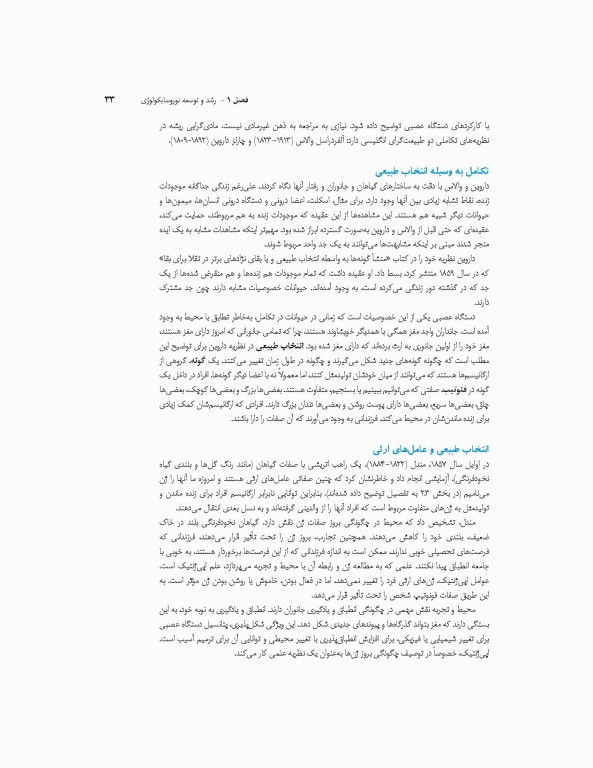 مبانی نوروسایکولوژی انسان جلد اول