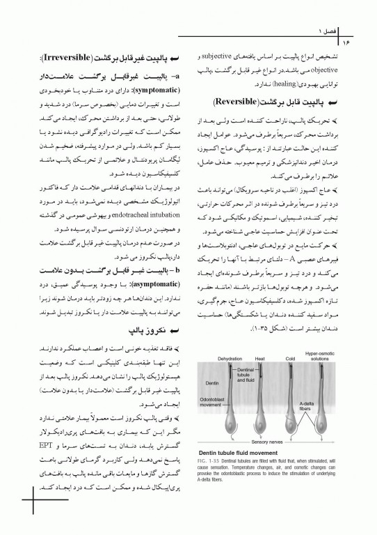 چکیده مراجع دندانپزشکی CDR مسیرهای پالپ 2016