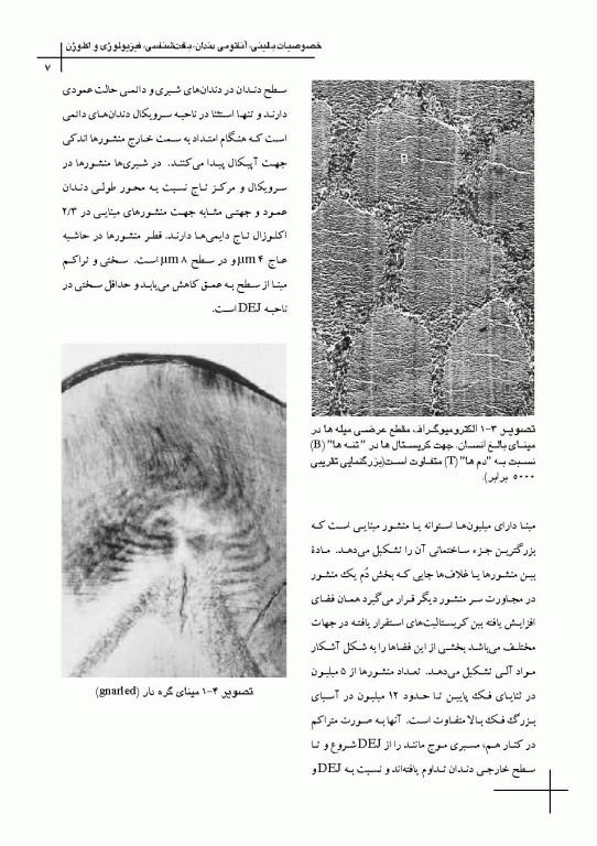 چکیده مراجع دندانپزشکی CDR علم و هنر در دندانپزشکى ترمیمى 2019