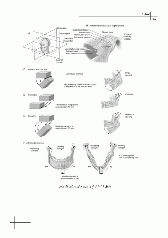 چکیده مراجع دندانپزشکی CDR علم و هنر در دندانپزشکى ترمیمى 2019