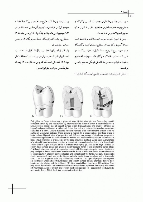 چکیده مراجع دندانپزشکی CDR علم و هنر در دندانپزشکى ترمیمى 2019