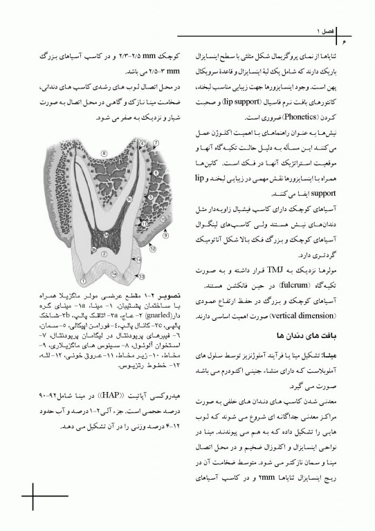 چکیده مراجع دندانپزشکی CDR علم و هنر در دندانپزشکى ترمیمى 2019