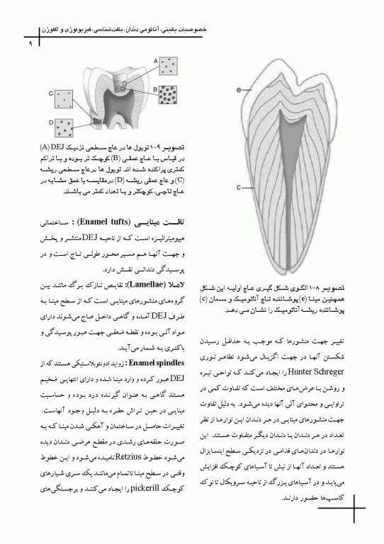چکیده مراجع دندانپزشکی CDR علم و هنر در دندانپزشکى ترمیمى 2019