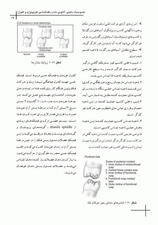 چکیده مراجع دندانپزشکی CDR علم و هنر در دندانپزشکى ترمیمى 2019