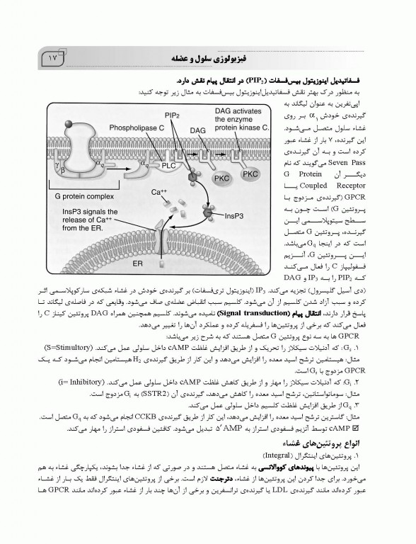 ضروریات فیزیولوژی پزشکی بر اساس گایتون، گانونگ و برن تالیف دکتر قاسمی