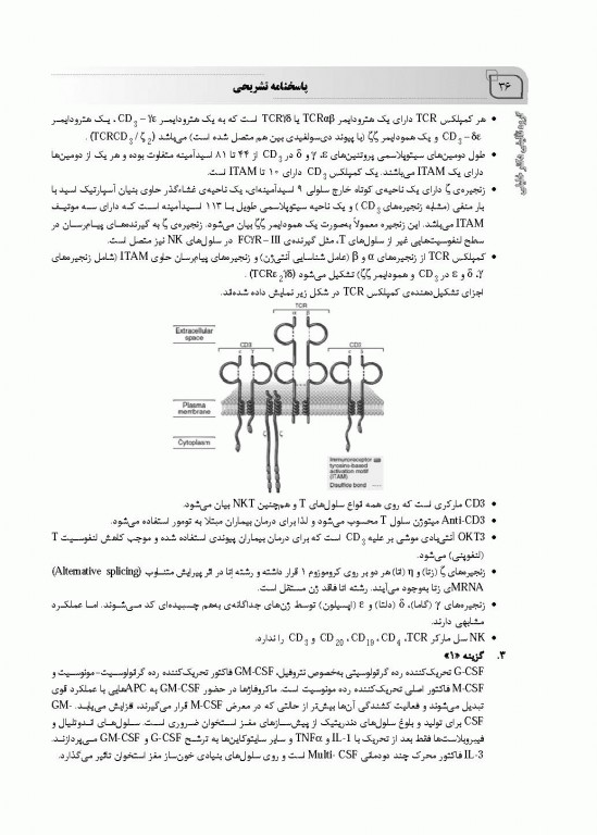 بانک سوالات ده سالانه IQB دکتری ایمونولوژی