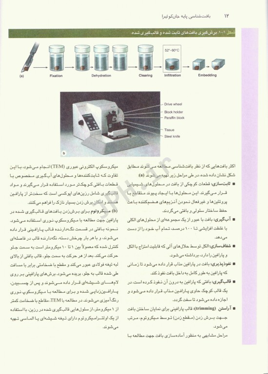بافت‌شناسی جان کوئیرا 2024 دکتر نوبخت