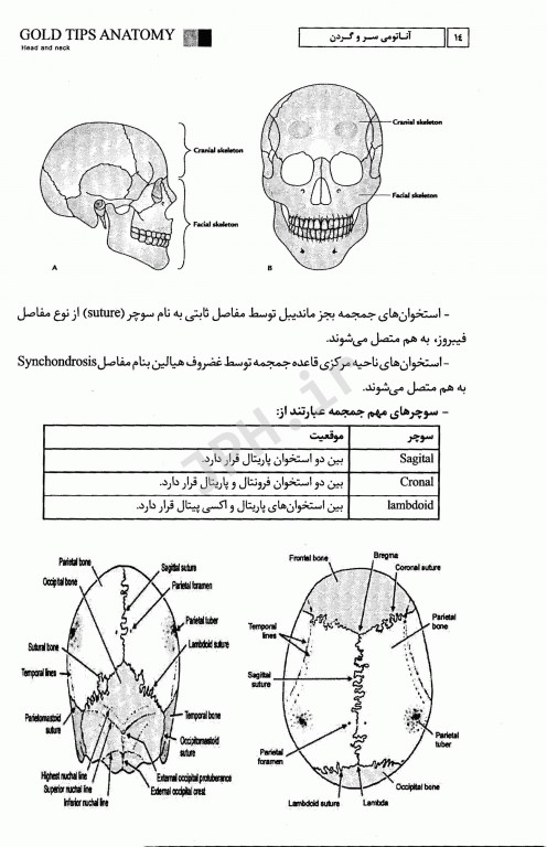 نکات طلایی GPS آناتومی سر و گردن