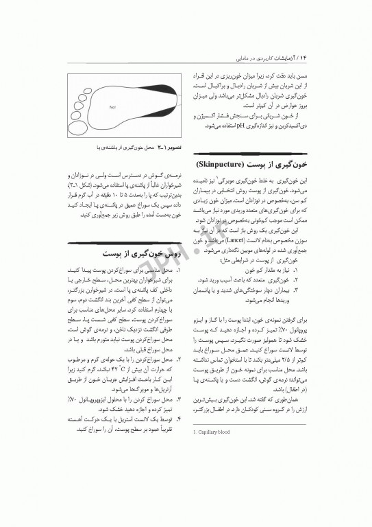 آزمایشات کاربردی در مامایی