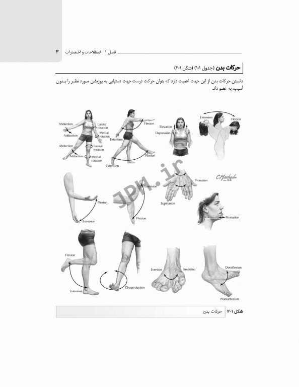 آشنایی با کلیات تصاویر رادیولوژی رایج در اتاق عمل
