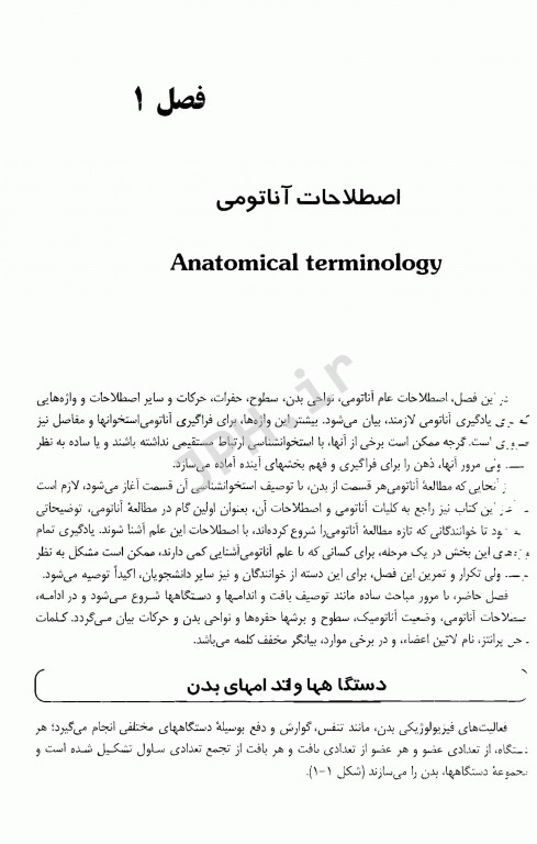 آناتومی استخوان و مفاصل با اصطلاحات آناتومی