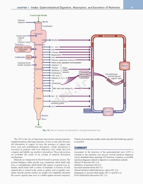 اصول تغذیه و رژیم درمانی کراوس2021 | Krause and Mahan's Food & the Nutrition Care Process 15th edition