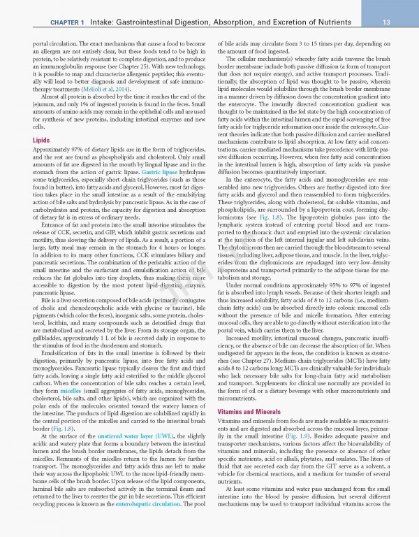 اصول تغذیه و رژیم درمانی کراوس2021 | Krause and Mahan's Food & the Nutrition Care Process 15th edition