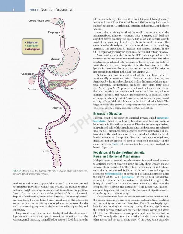 اصول تغذیه و رژیم درمانی کراوس2021 | Krause and Mahan's Food & the Nutrition Care Process 15th edition